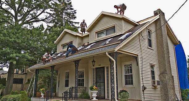 Best Roof Maintenance Services  in Wilson Conococheague, MD